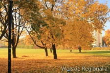 Park Moczydło