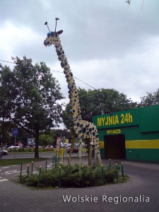 Rzeźba Żyrafa Władysława Frycza