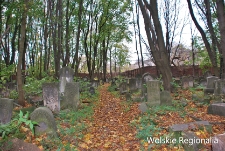 Alejka na cmentarzu żydowskim