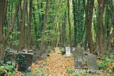 Alejka na cmentarzu żydowskim