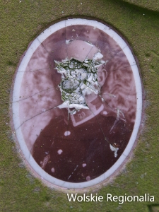 Zdjęcie nagrobkowe na grobie Jana Pokory na cmentarzu ewangelicko-reformowanym