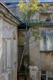 Opuszczona kamienica przy ulicy Łuckiej 14