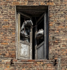 Okno opuszczonej kamienicy przy ulicy Jana Olbrachta 16