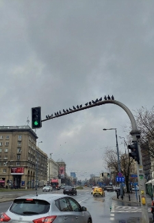 Widok na al. Jana Pawła II. Zdjęcie wykonane w ramach konkursu "Foto Art Wola" przez Karolinę Lechowską