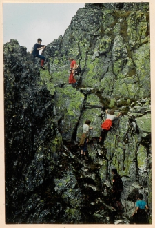 Wycieczka Koła PTTK Motyle nr 11 w Tatry, 07.07.1977r. Członkowie wspinają się po zielonych skałach.