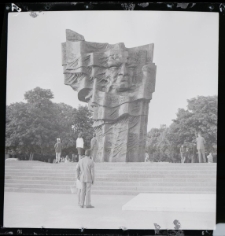 Pomnik Władysława Broniewskiego w Płocku, został odsłonięty 25.06.1972r. Autor rzeźby - prof. Gustaw Zemła. Pomnik o wysokości 10 metrów, został odlany z brązu.